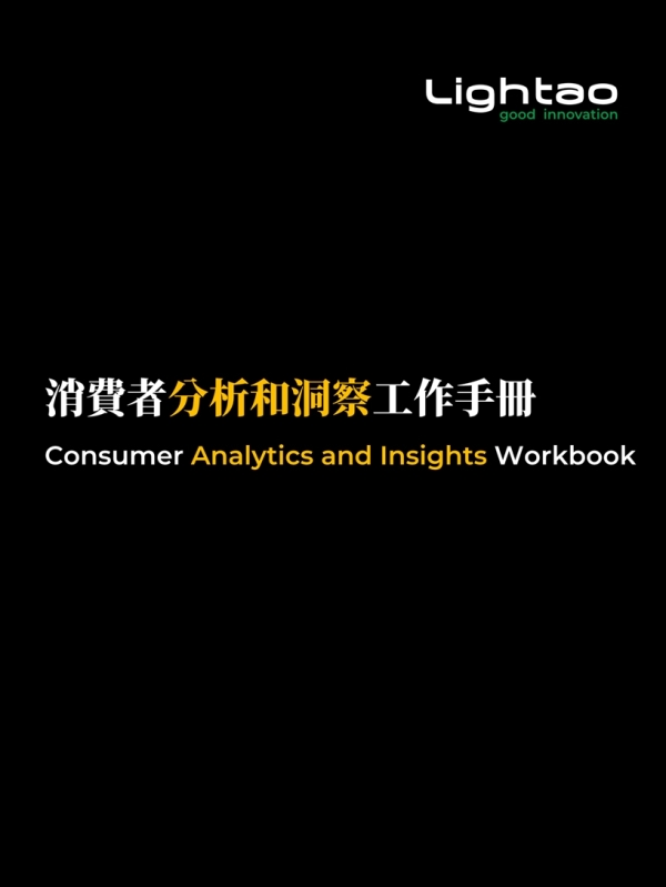 消费者分析和洞察工作手册